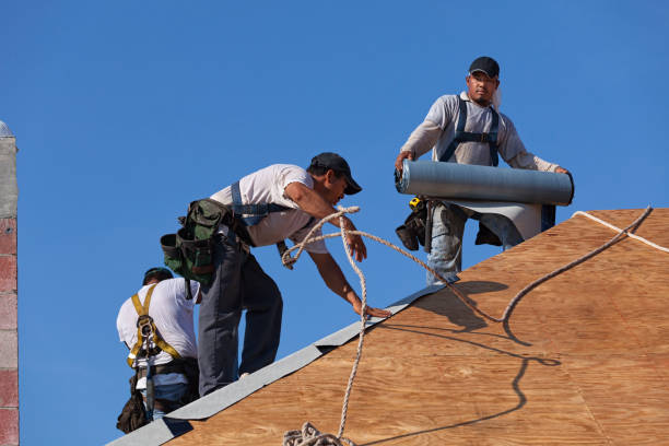 Best Roof Gutter Cleaning  in Venetian Vlage, IL