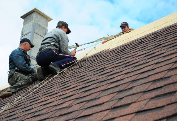 Best Storm Damage Roof Repair  in Venetian Vlage, IL